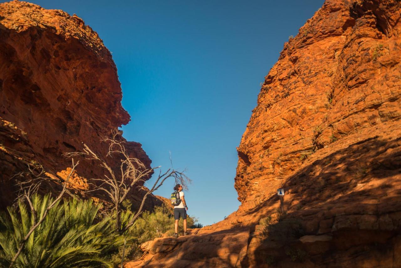 Discovery Resorts - Kings Canyon Exterior foto